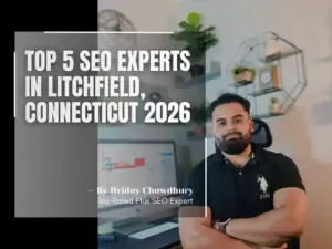 SEO Experts in Litchfield