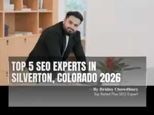 SEO Experts in Silverton