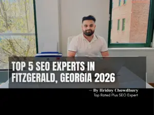 SEO Experts in Fitzgerald