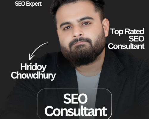 SEO Consultant