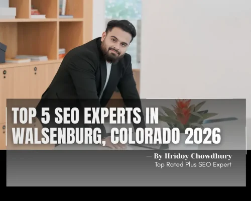 SEO Experts in Walsenburg