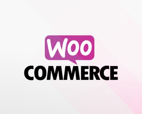 woocommerce seo expert